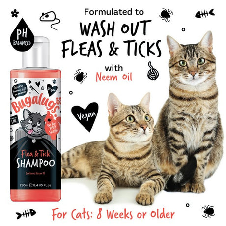 Bugalugs Cat Flea & Tick Shampoo 250ml