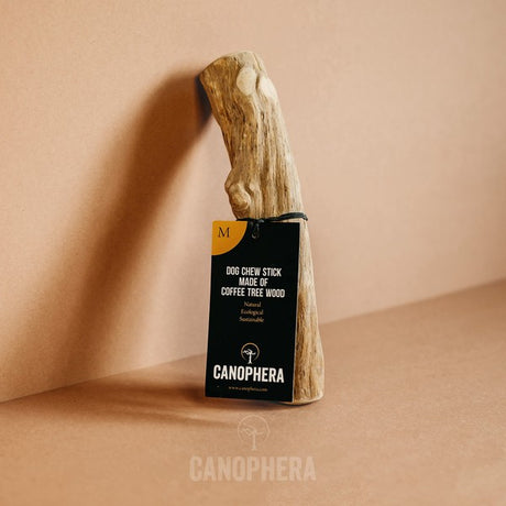 Canophera Coffee Wood Dog Chew Stick