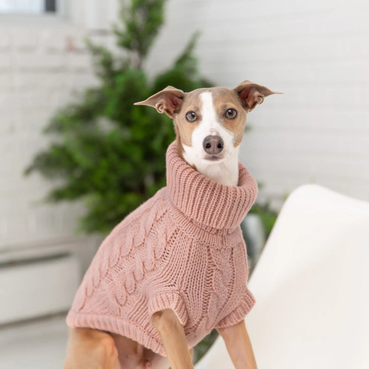 GF Pet Chalet Knitted Dog Sweater Pink