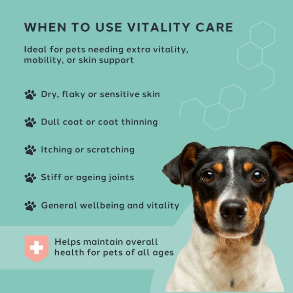 Charlie The Vet Vitality Care Omega Oil 250ml