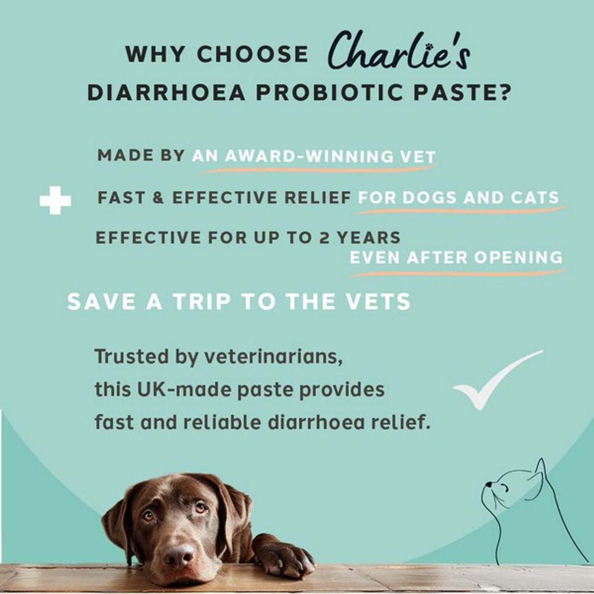 Charlie The Vet Diarrhoea Care Probiotic Paste For Dogs & Cats