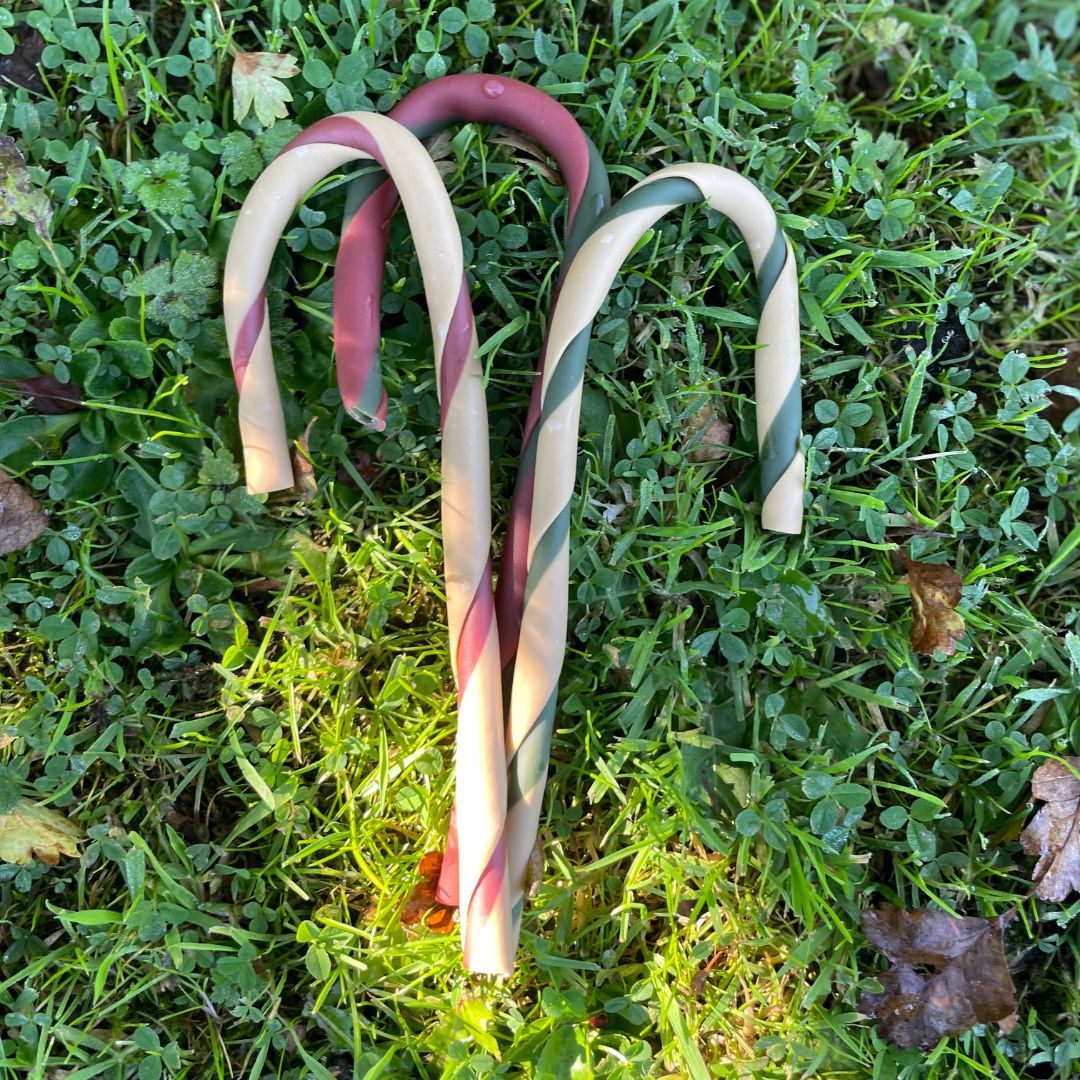 Christmas 'Candy Cane' All Natural Dog Dental Chew