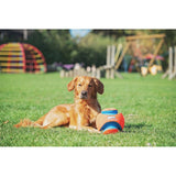 Chuckit! Kick Fetch Small 15cm