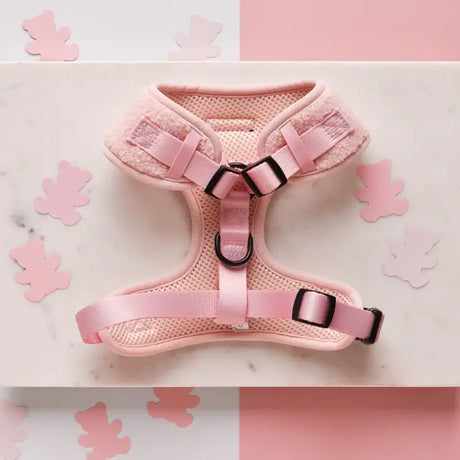 Cocopup Teddy Adjustable Dog Harness