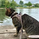 Cocopup Cat Collar Plaid