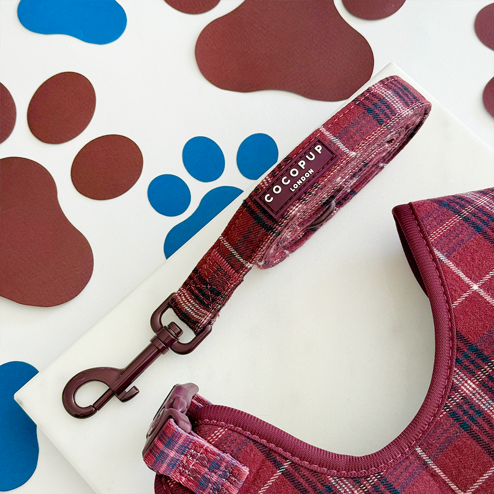 Cocopup Mulberry Plaid Lead