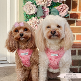Cocopup Peony Pup Adjustable Neck Harness