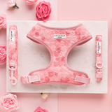Cocopup Peony Pup Dog Collar