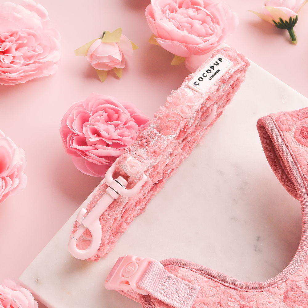 Cocopup Peony Pup Lead