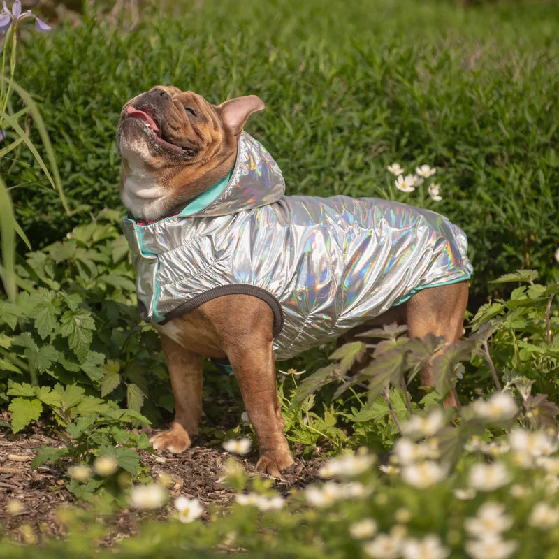 GF Pet Elasto-Fit Reversible Dog Raincoat Aqua Iridescent