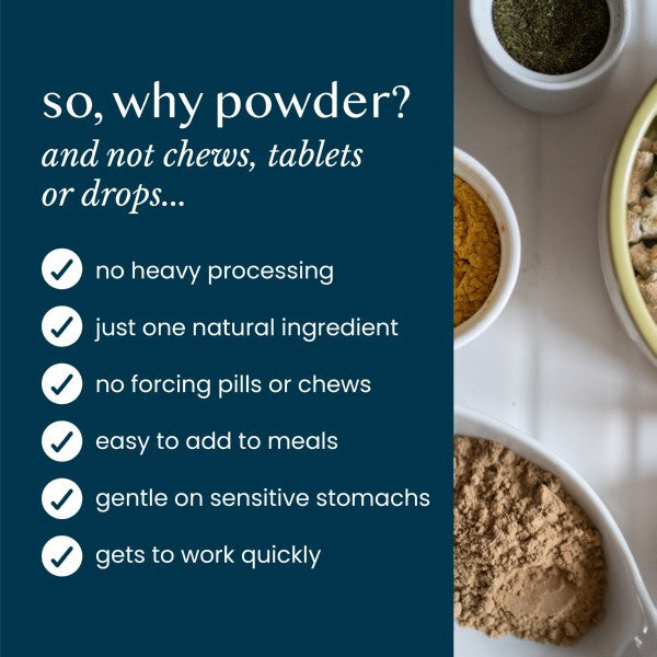 Fettle Pure and Gentle Calming Support Powder 125g