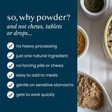Fettle Pure and Gentle Calming Support Powder 125g