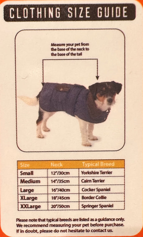 Halloween PUMPKIN HOODY - ORANGE