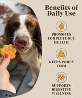 Hackney Dog House Pre & Probiotics For Dogs 225g - Real Pumpkin Powder + Probiotic