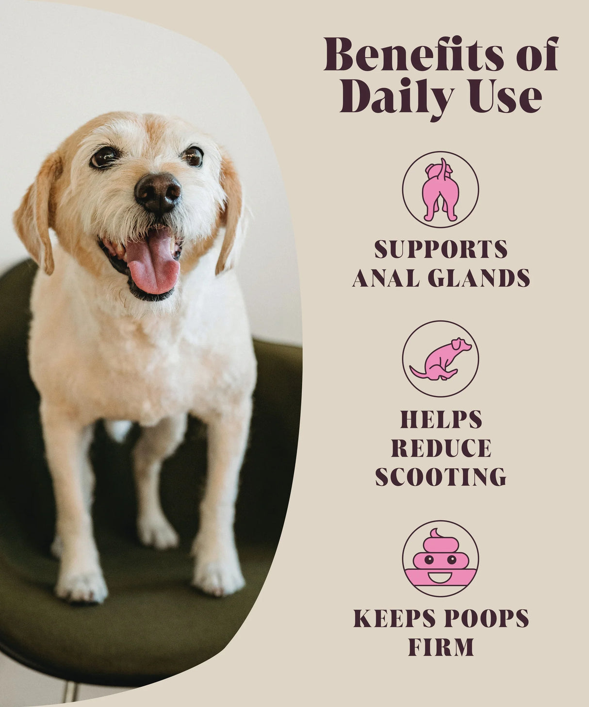 Hackney Dog House Fibre Gland for Dogs