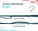 COA Halti Anatomy Multi Lead