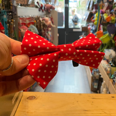 Dog Bow Tie