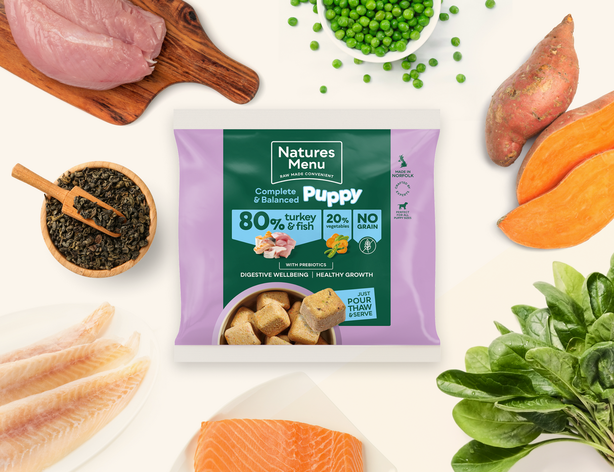 Natures Menu Frozen Country Hunter Turkey & Fish Puppy 1KG - In Shop or Pickup only