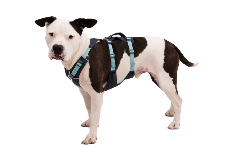 Ruffwear Flagline Harness Basalt Gray