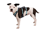 Ruffwear Flagline Harness Basalt Gray