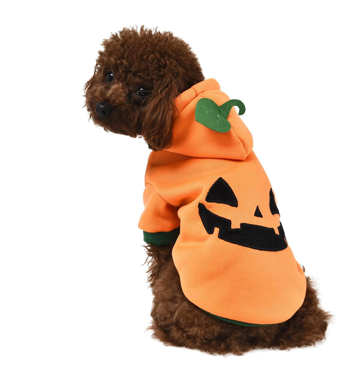 Halloween PUMPKIN HOODY - ORANGE