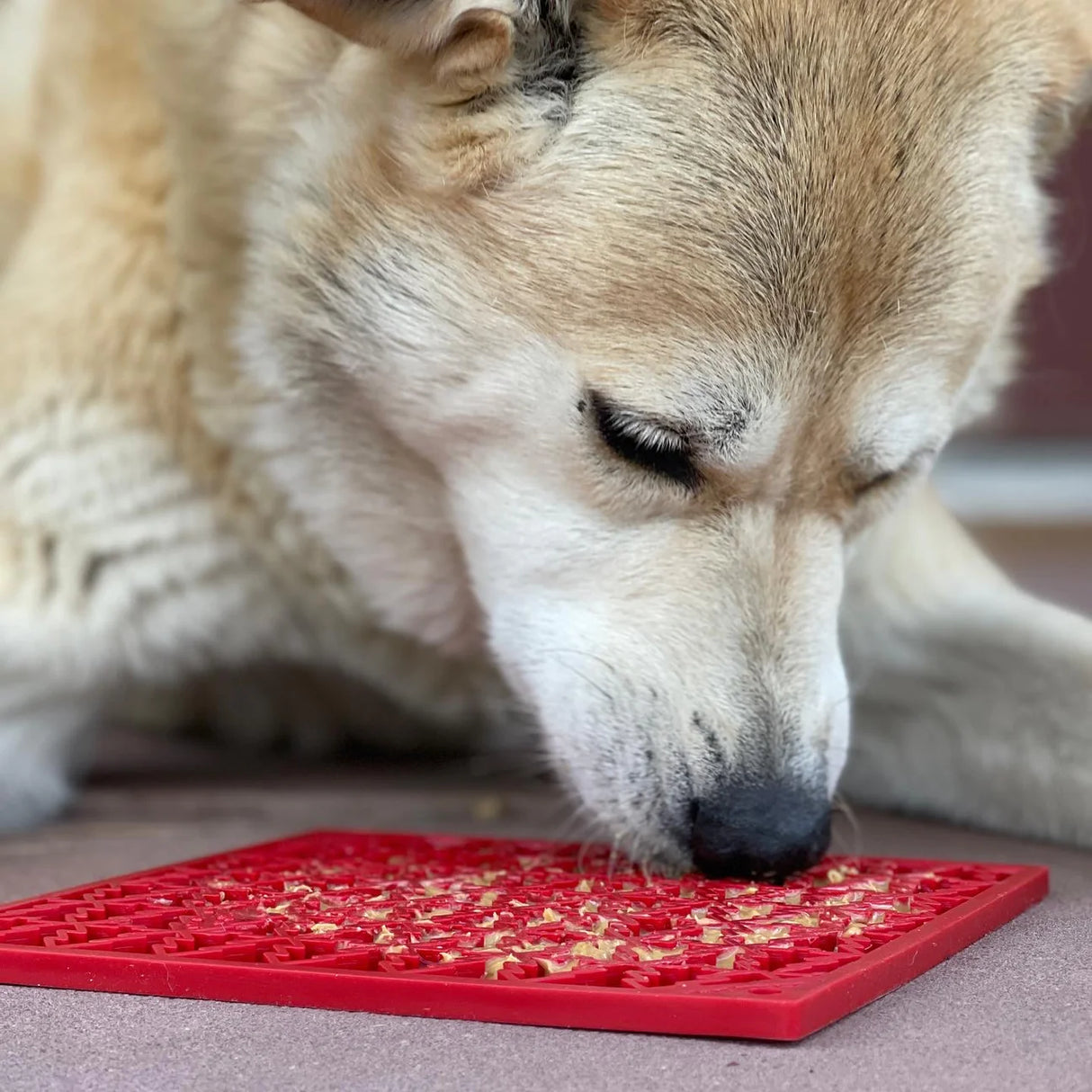 SodaPup Lick Mat "Peace" - Red - Large