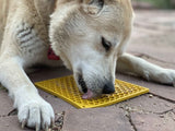 SodaPup Lick Mat - Honey Comb