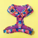 WAPC Rainbow Agate Deluxe Adjustable Harness