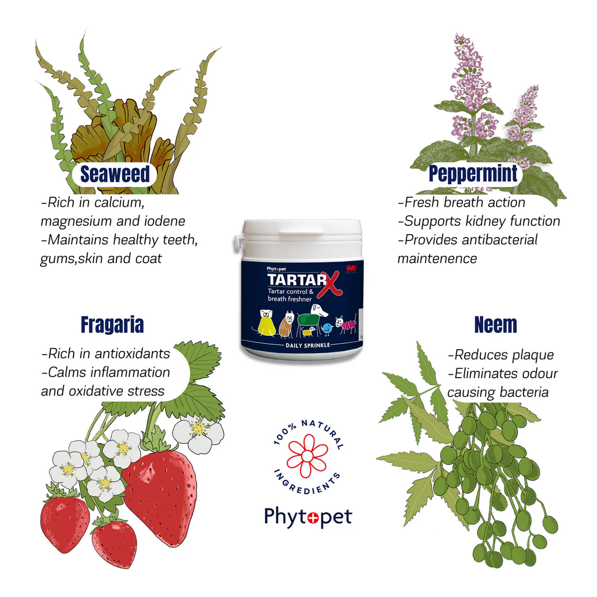 Phytopet Tartar-X Tartar Control and Breath Freshner 100g