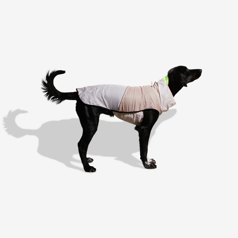 Zeedog Raincoat Oatmeal