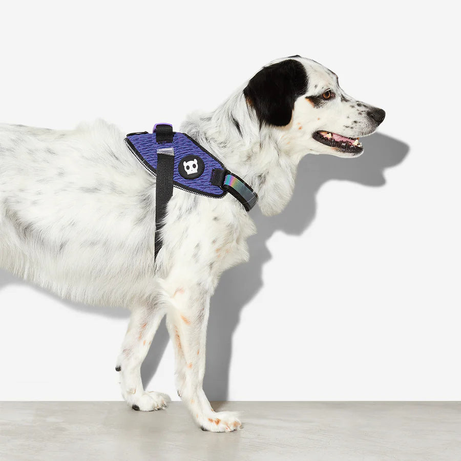 Zeedog Fly Harness Wicked