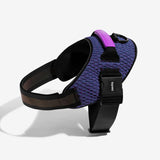 Zeedog Fly Harness Wicked