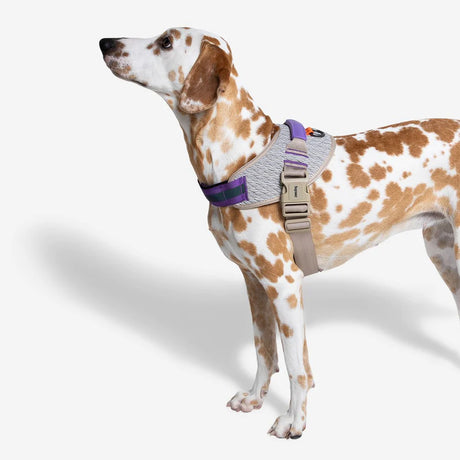 Zeedog Fly Harness ACG