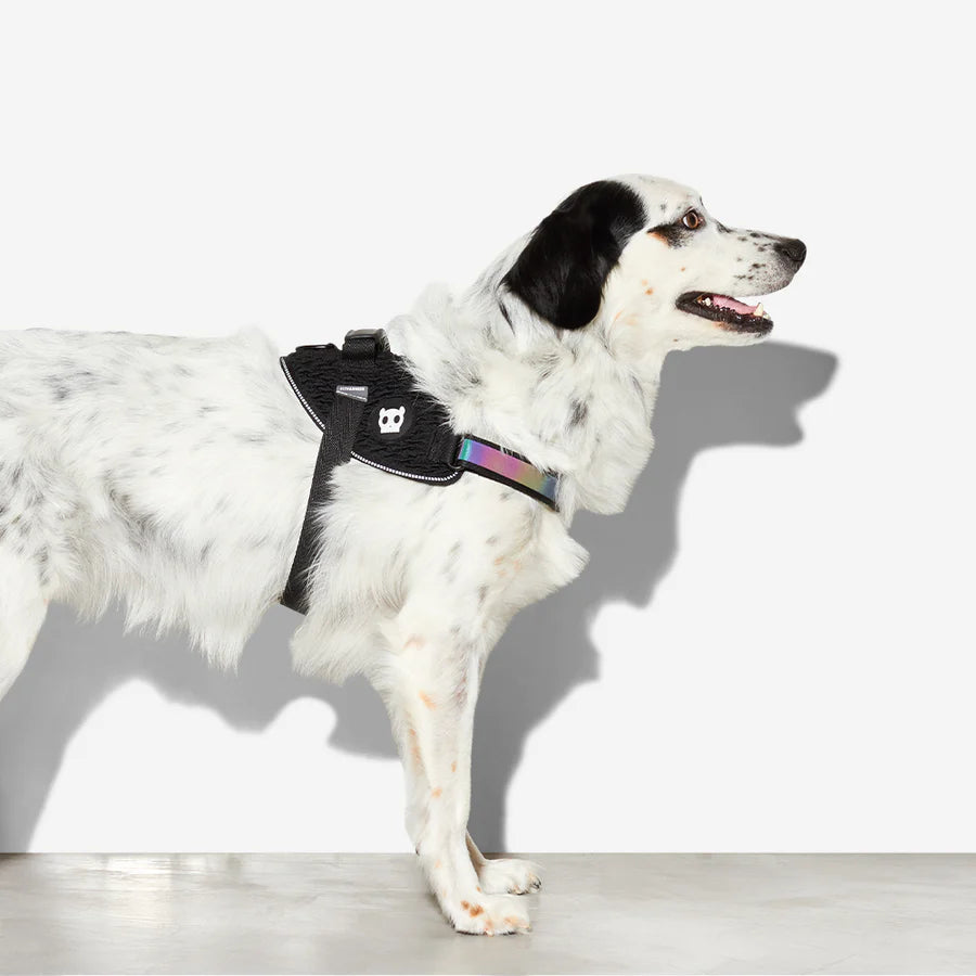 Zeedog Fly Harness Gotham