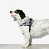 Zeedog Fly Harness Urban