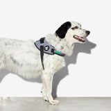 Zeedog Fly Harness Urban