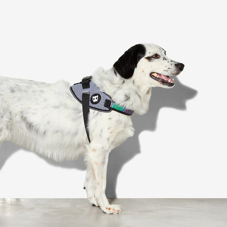 Zeedog Fly Harness Urban