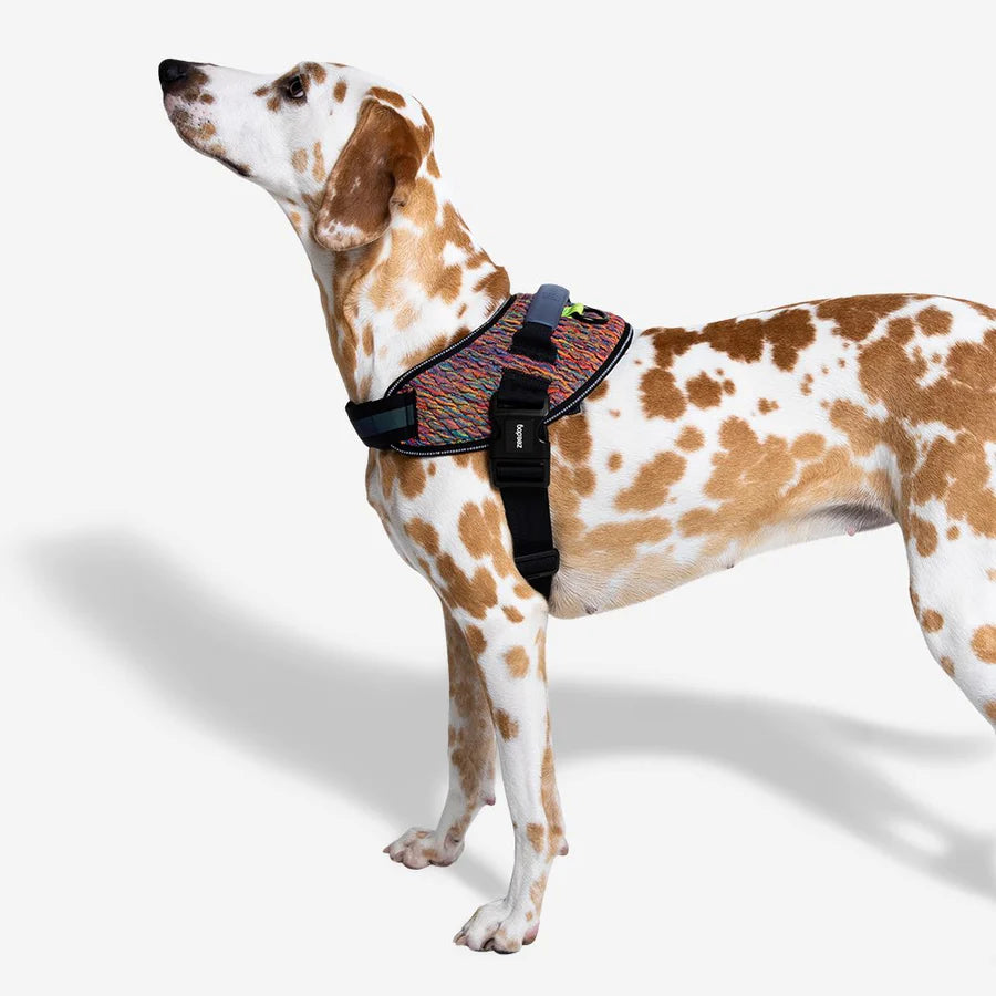 Zeedog Fly Harness Vortex