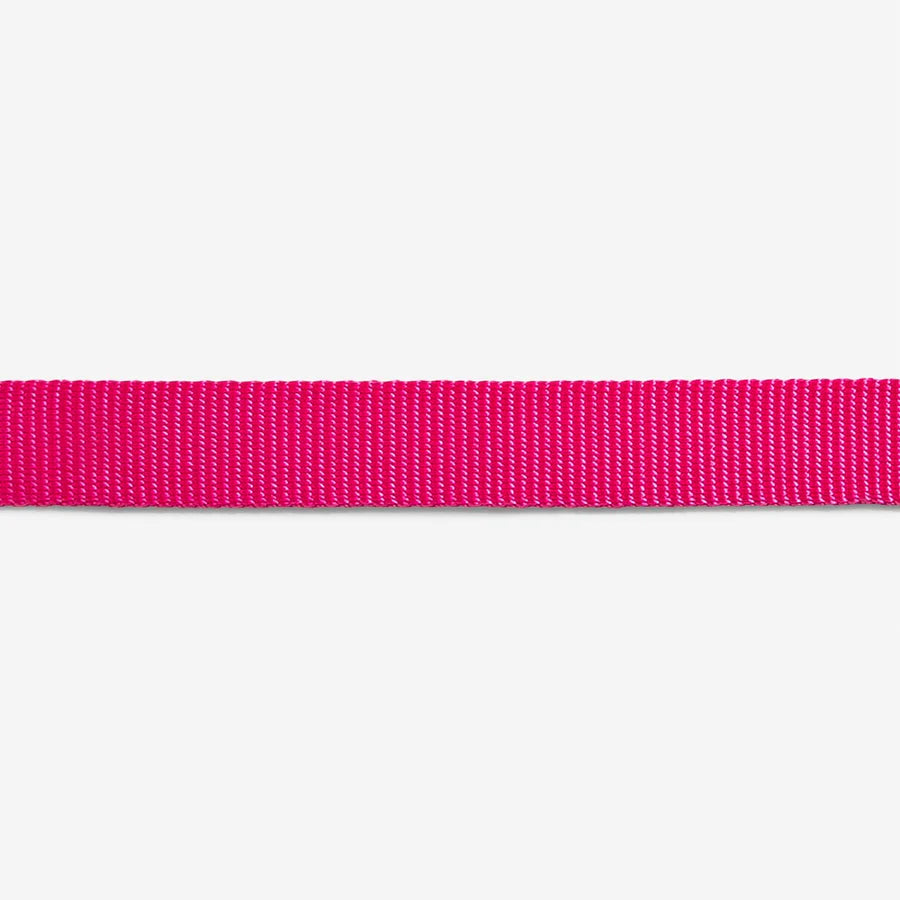 Zeedog Collar Pink Led