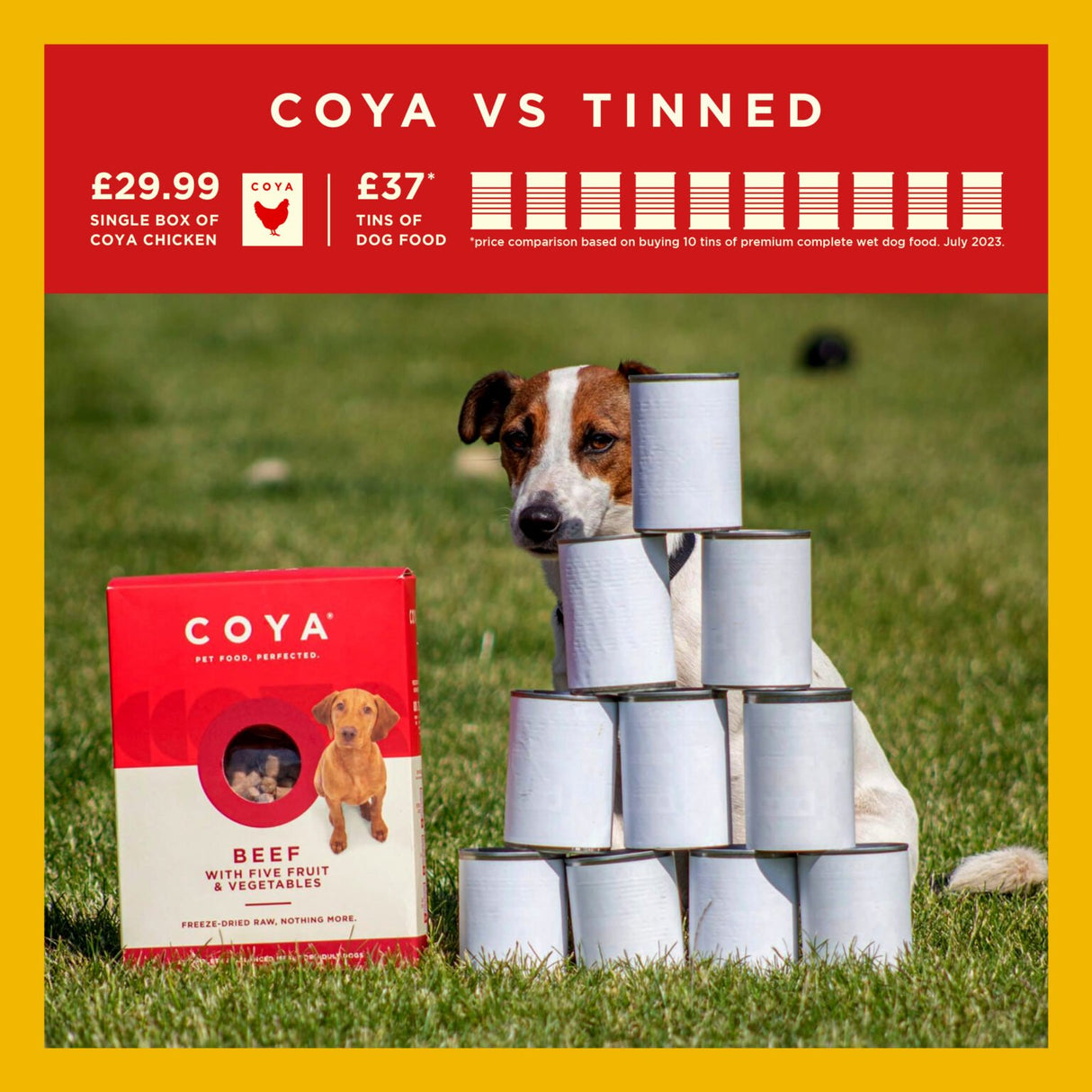 Coya Adult Dog Food Freeze Dried Chicken