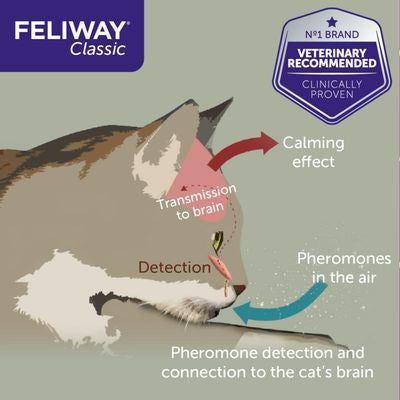 Feliway® Classic Refill