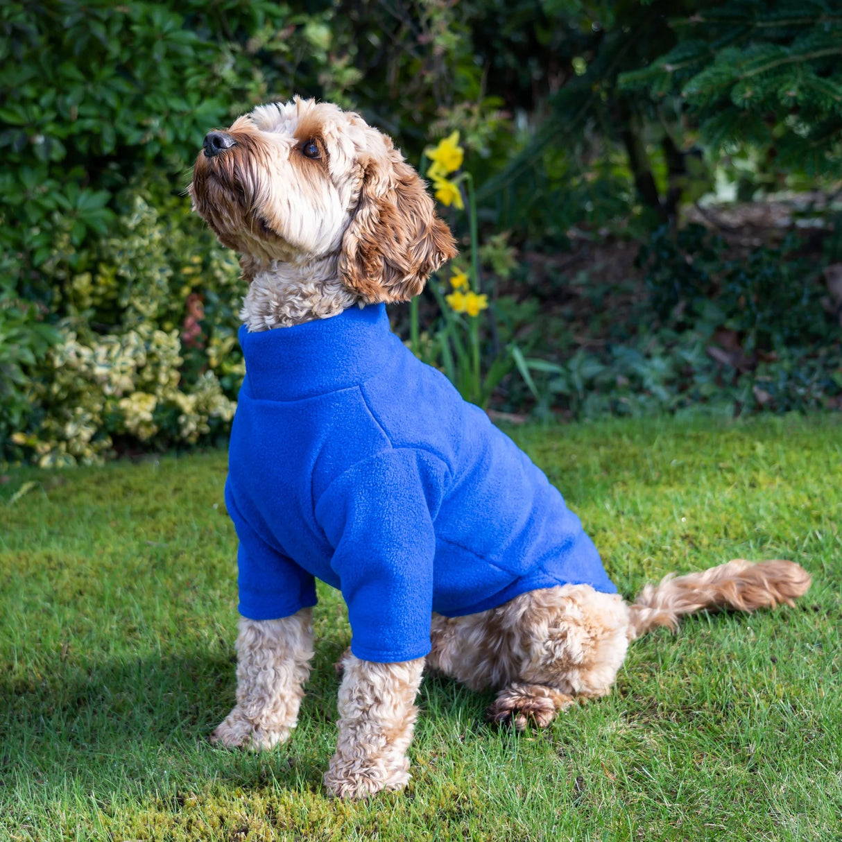 Pawsome Dog Polar Fleece Suit 2 Legs