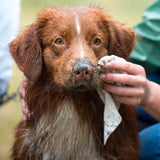 Hownd - Yuo You Stink! Emergency Biodegradable Dog Wipes