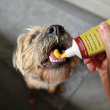 JR Pet Cheese Paste 75g