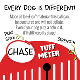 Jolly Pets Soccer Ball