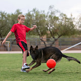 Jolly Pets Soccer Ball