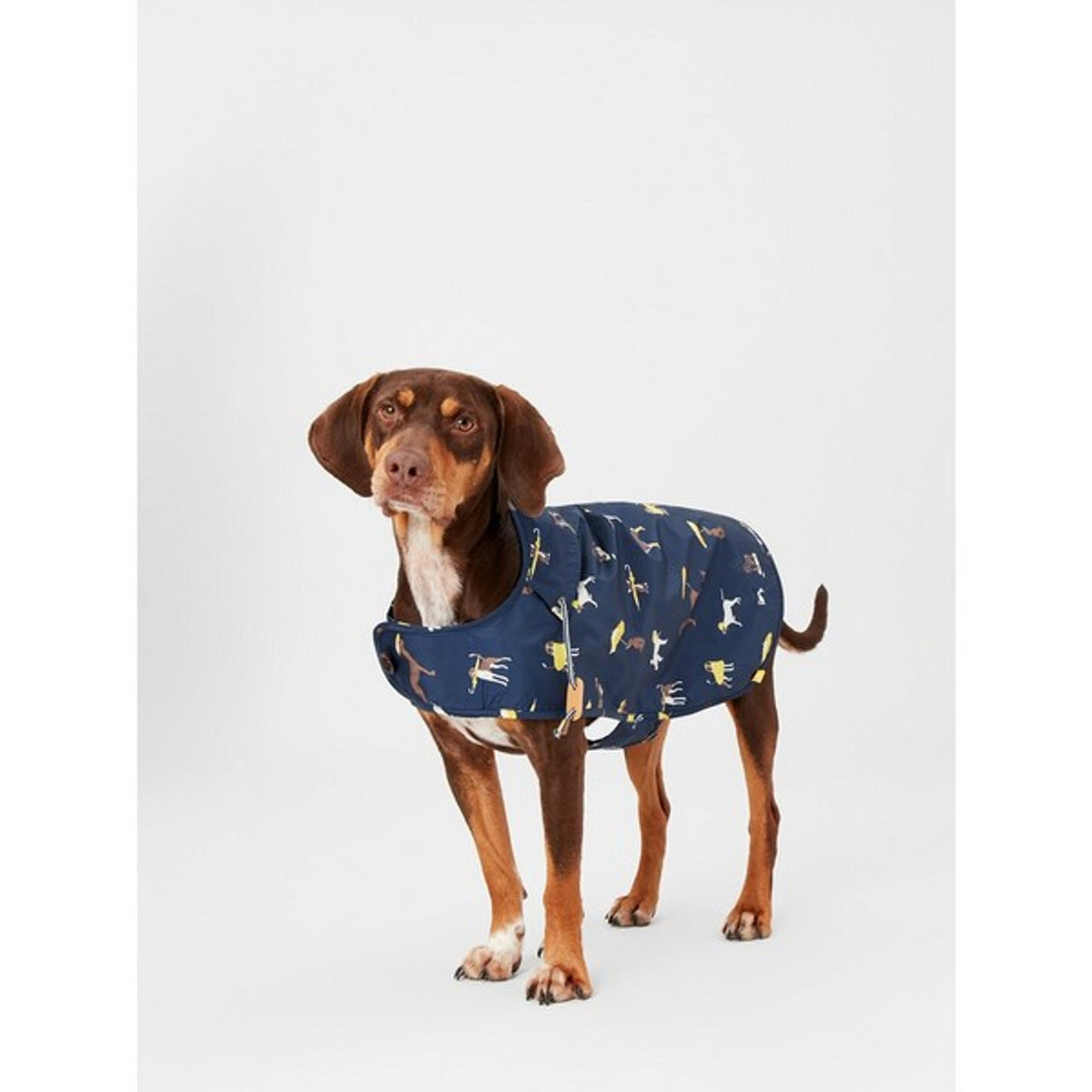 Joules Dog Raincoat Navy