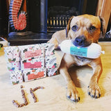 Jr Pet Pure Turkey Paté Christmas Cracker 80g