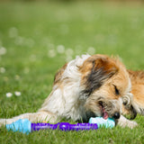 K9 Connectables Gentle The Dentist