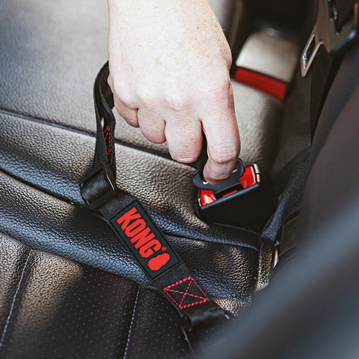 KONG Travel Seatbelt Tether